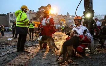 سگ‌های زنده‌یاب، عملیاتی در موتورخانه پلاسکو نداشتند