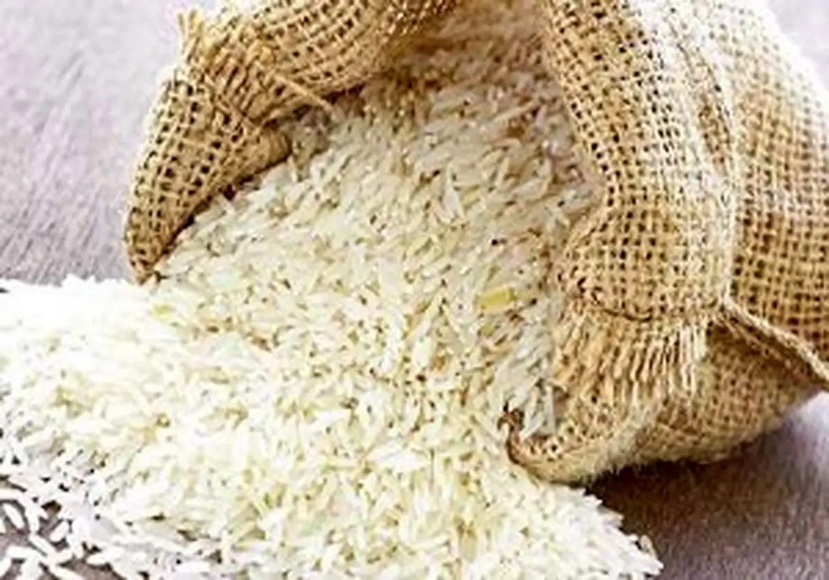 قیمت برنج ماه رمضان بالا می رود؟