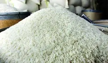  وزارت جهادکشاورزی اعلام کرد؛
عرضه برنج با کیفیت و ارزان قیمت برای کنترل بازار
