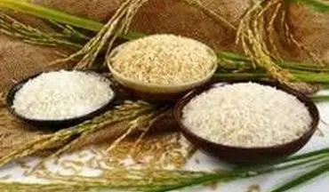  برنج ایرانی ارزان شد