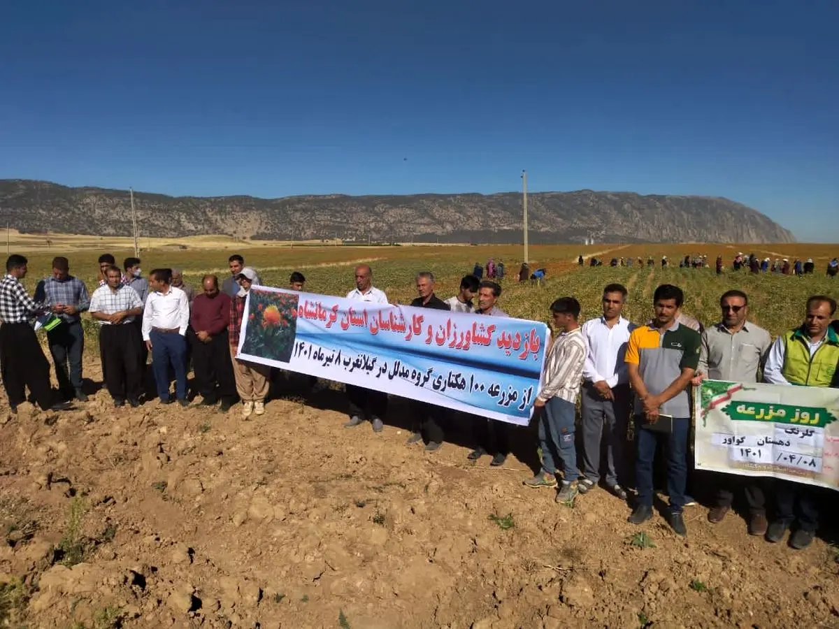 برگزاری روز مزرعه گلرنگ توسط گروه مدلل در کرمانشاه