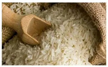 ممنوعیت کشت برنج در همه مناطق این استان

