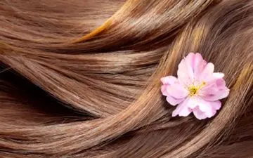 آشنایی با فواید سماق برای مو