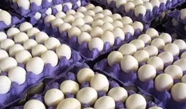  قیمت هر شانه تخم مرغ در تهران ۲۰ هزار تومان شد 