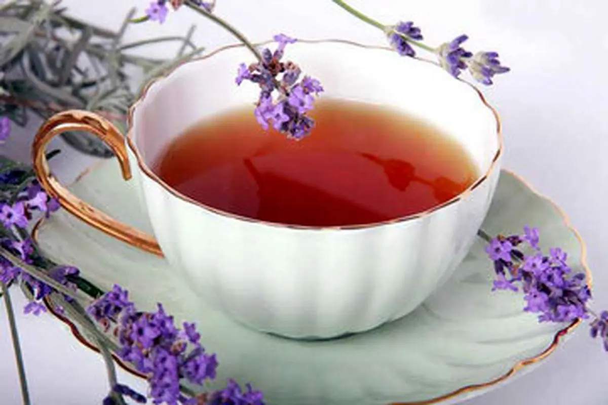 گیاهی که گنجینه‌ای از خواص درمانی است

