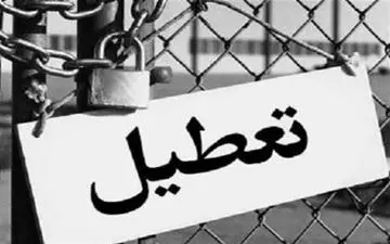  بزرگترین کارخانه تولید نِی آشامیدنی کشور تعطیل شد