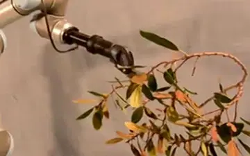 سپردن کار کشاورزی به دست ربات‌ها + فیلم