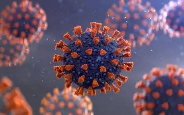 کشف یک درمان احتمالی برای کووید-۱۹ 