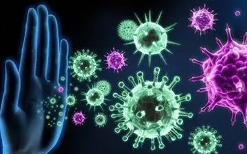 با مصرف این میوه سیستم ایمنی بدن تان را تقویت کنید