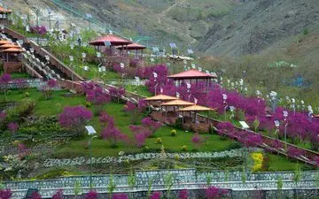 ییلاق خوش آب وهوای گلابدره در انتظار شماست