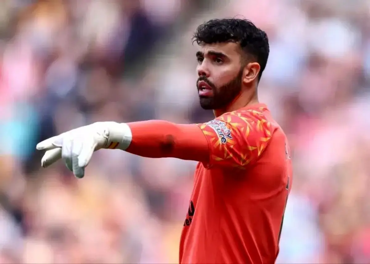 رونق آرسنال با دیوار مستحکم داوید رایا؛ سنگربانی که صدر جدول را بیمه کرد

