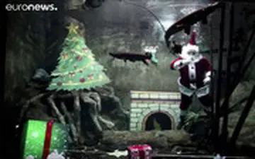  بابانوئل‌های دریایی که کریسمس را تبریک می‌گویند!