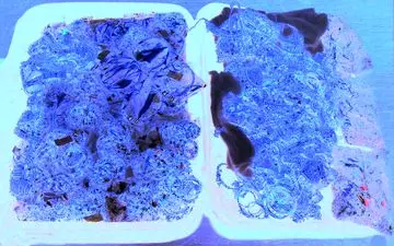 ثریا یک چمدان پر از پول و طلا داشت / مرغ او یک پا داشت 