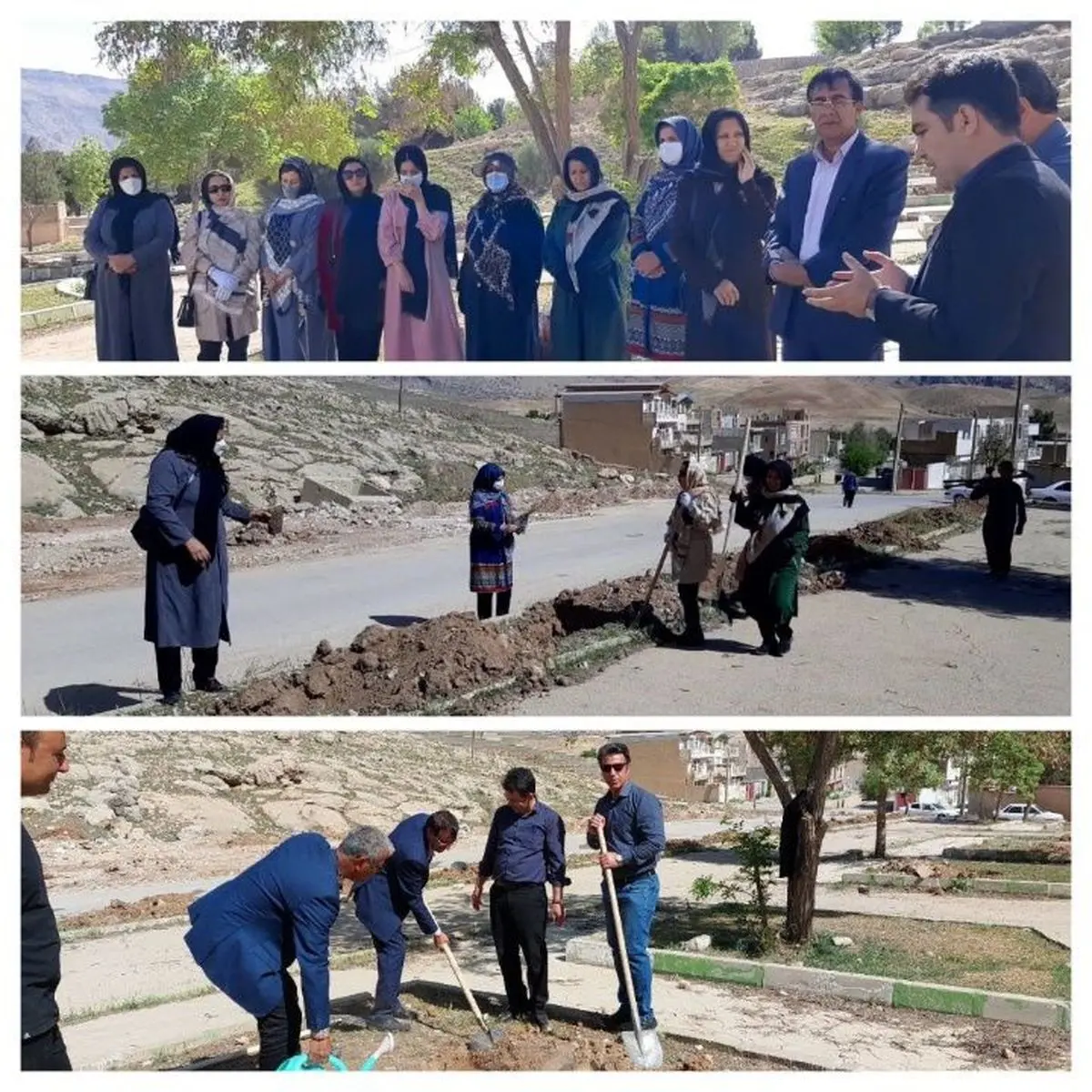 کاشت پانصد اصله درخت ارغوان در شهر سرابله