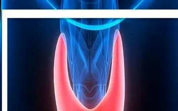 اگر تیروئید دارید جدی بگیرید

