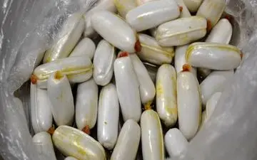 کشف ۱۱۳۰ گرم هروئین از معده تبعه خارجی در تایباد