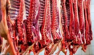 قیمت جدید گوشت گوساله تازه و منجمد | قیمت گوشت گوسفند