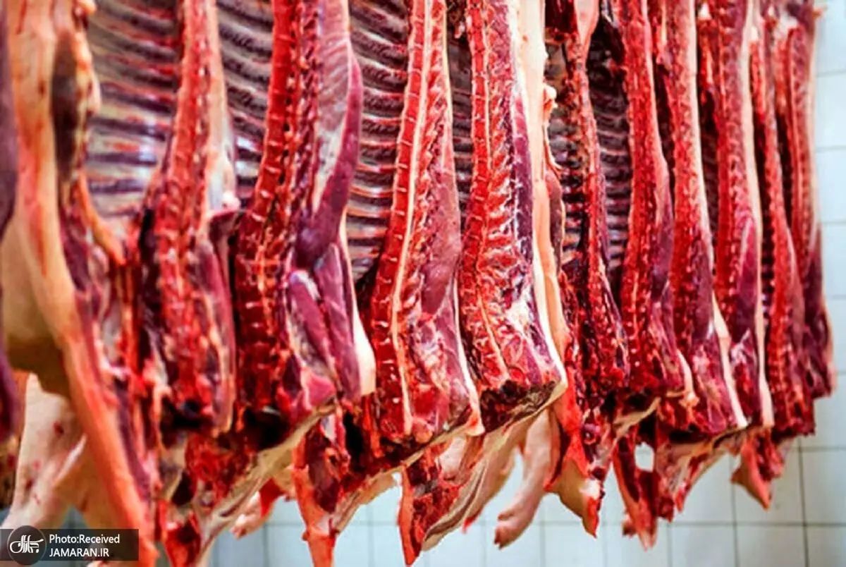 قیمت جدید گوشت گوساله تازه و منجمد | قیمت گوشت گوسفند