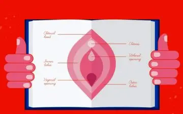  چه اتفاقی برای واژن می افتد بعد از بارداری؟
