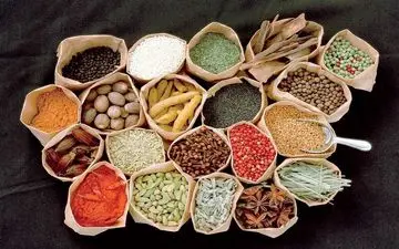 مزاج شناسی| چطور بفهمیم مزاج ما چیست؟