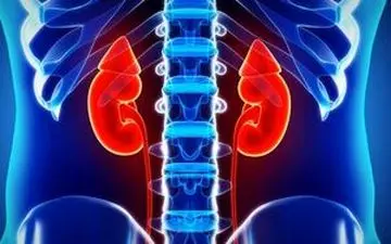 علائم هشدار دهنده نارسایی کلیه