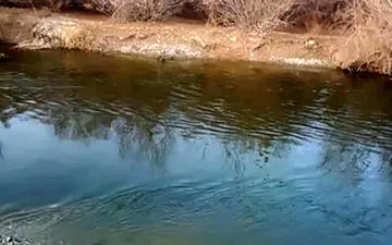 ماجرای غرق شدن یک کودک دو ساله در منطقه زیار 