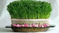 مدل های مختلف برای سبزه عید نوروز