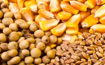 اعلام جزئیات تعیین نرخ نهاده‌ها پس از حذف ارز ترجیحی