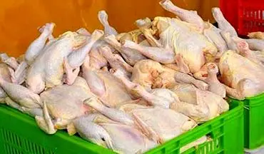 نرخ جدید مرغ و انواع مشتقات آن در بازار