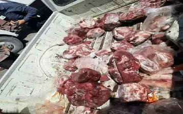 
کشف 400 کیلوگرم گوشت فاسد در کرمانشاه/ یک رستوران غیربهداشتی پلمب شد