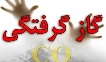  10 نفر به علت مسمومیت با گاز منو کسید کربن‌در کرمانشاه فوت شدند