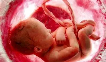 سقط جنین ؛ انتقام زن باردار از همسرش