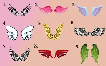 می خواهید استعداد خود در زندگی را کشف کنید؟ یک بال را انتخاب کنید