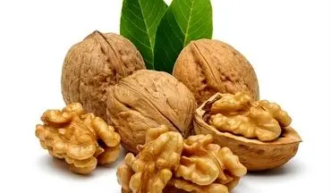 بعد از خوردن گردو این خواص نصیب بدن تان می شود