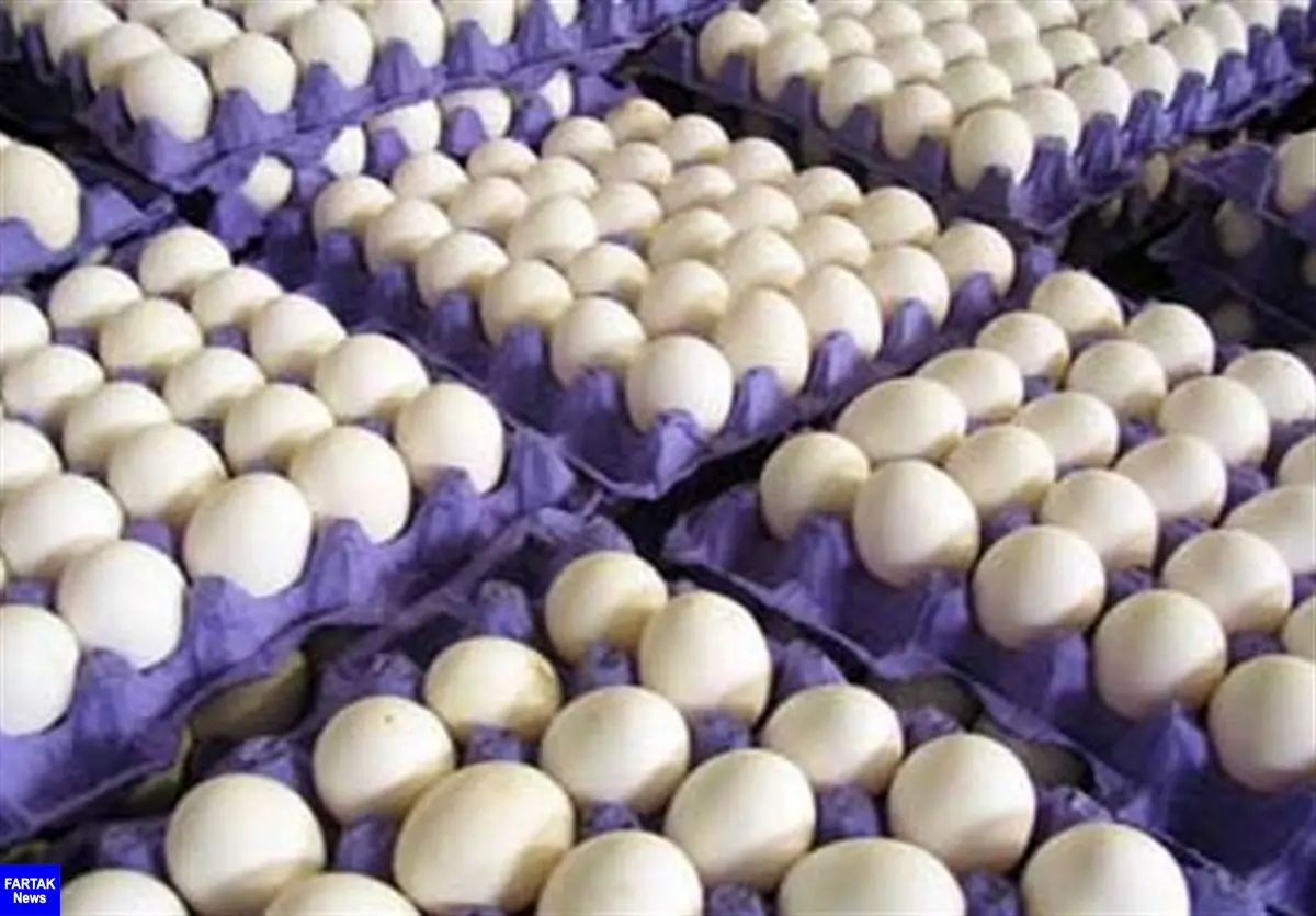روزانه ۱۰۰ تن تخم مرغ مازاد در کشور وجود دارد