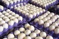 تخم مرغ به چه قیمتی در بازار فروخته می‌شود؟
