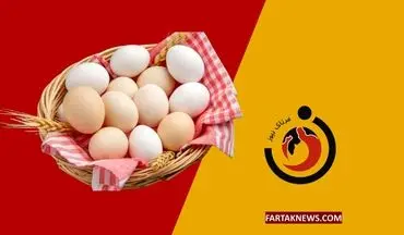 نرخ جدید تخم مرغ در مرغداری‌ها اعلام شد؛ کیلویی ۶۱ هزار تومان