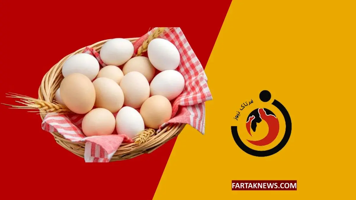   نرخ جدید تخم مرغ در مرغداری‌ها اعلام شد؛ کیلویی ۶۱ هزار تومان 