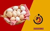 نرخ جدید تخم مرغ در مرغداری‌ها اعلام شد؛ کیلویی ۶۱ هزار تومان