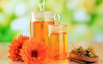 گیاهی که در یک چشم به هم زدن سرما خوردگیتان را خوب می کند