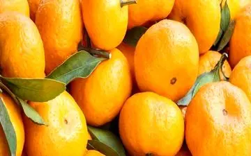 آشنایی بیشتر با خواص درمانی نارنگی 