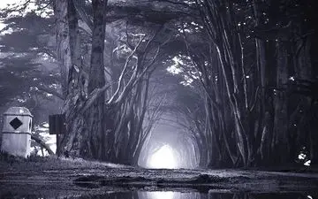 ۳۰+ مکان های ترسناک ایران | تجربه‌ای که هیچوقت فراموش نخواهید کرد