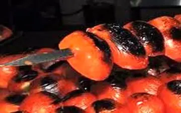 سوسک در گوجه کبابی غذای بیمارستان شمال تهران!