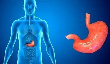 برای ضعف معده و ضعف هضم چه بکنیم؟