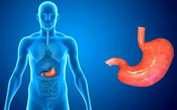 برای ضعف معده و ضعف هضم چه بکنیم؟
