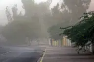 حوادث| ۶۵ مصدوم و ۶ کشته بر اثر طوفان و صاعقه در کشور

