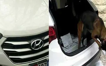 راز کثیف سانتافه در مرز ترکیه چه بود؟+عکس