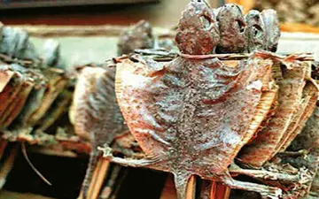 چندش آورترین نسخه برای لاغری+ عکس 