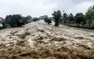 سیلاب در کوشکنار هرمزگان ۲۰۶ را با خود برد + ویدئو