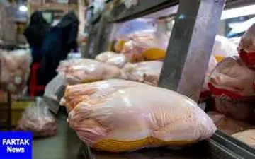 قیمت فعلی مرغ ۶۰۰ تومان بالاتر از نرخ مصوب